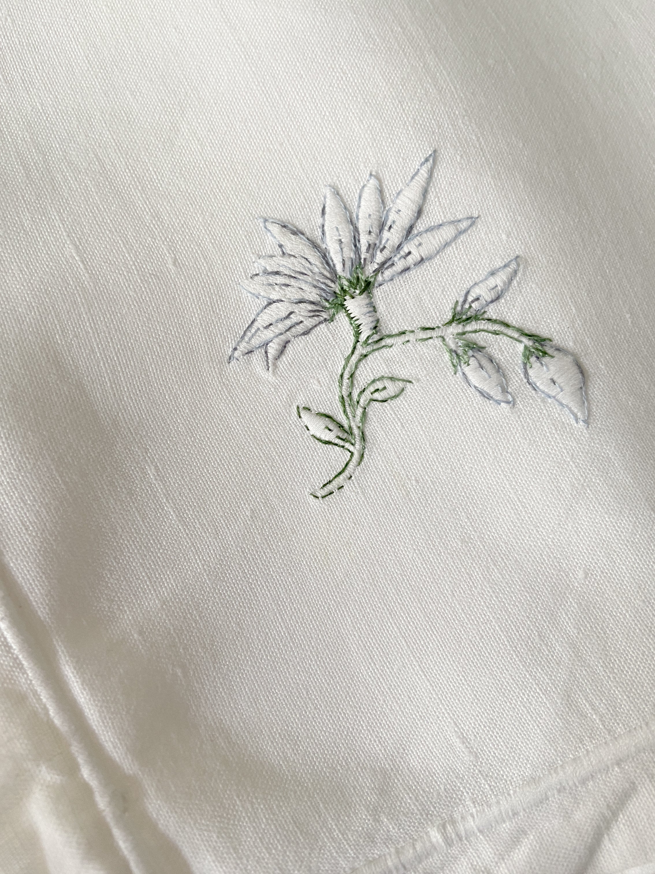 2 Serviettes "Bleuets"