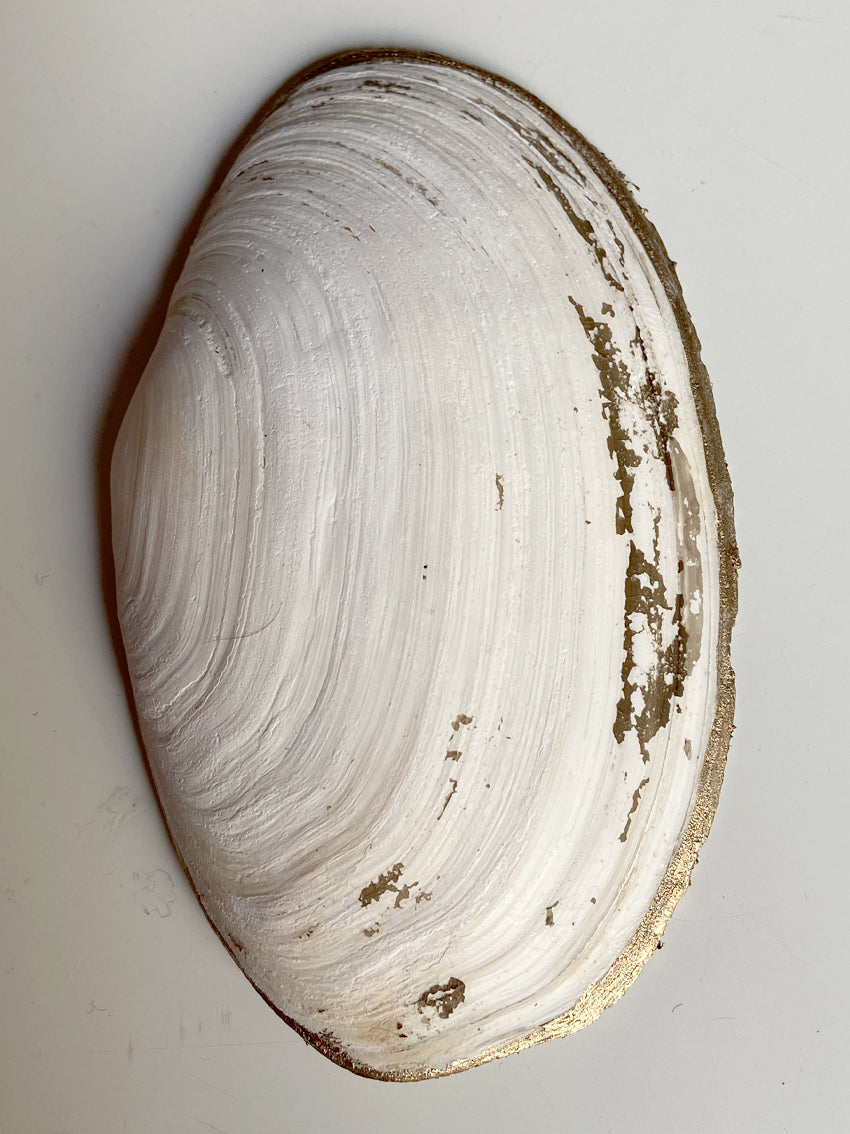 Coquillages brodés "dentelle perlée“