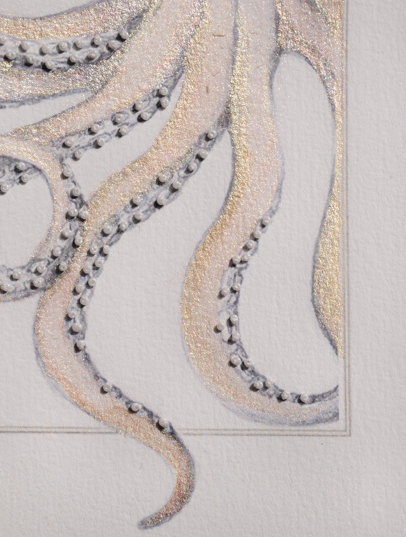 Cahier brodé « Octopus vulgaris»